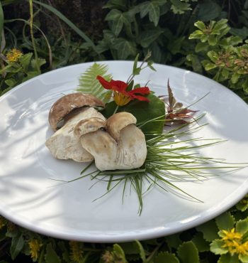 85910d03 ec20 498c a29a 11643cb35c07