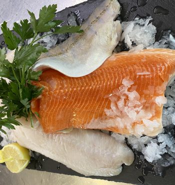 961f6b85 3f8c 44fd 86c9 c2268614be98